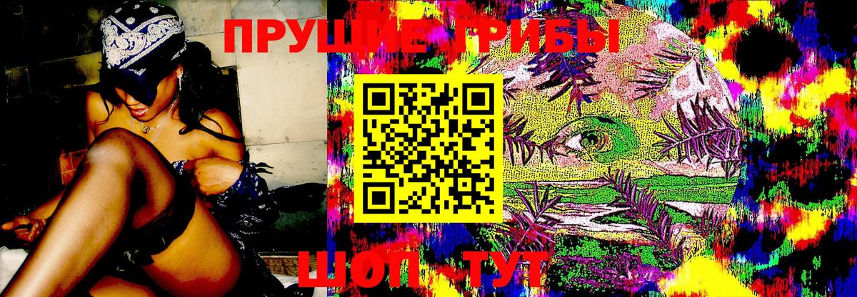 Кстово  Псилоцибиновые грибы GOLDEN TEACHER  Вход с VPN  Псилоцибиновые грибы Cubensis 